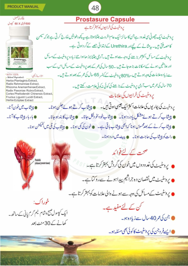 Prostasure Capsule | Green World Capsule | Green World Prostasure Capsule