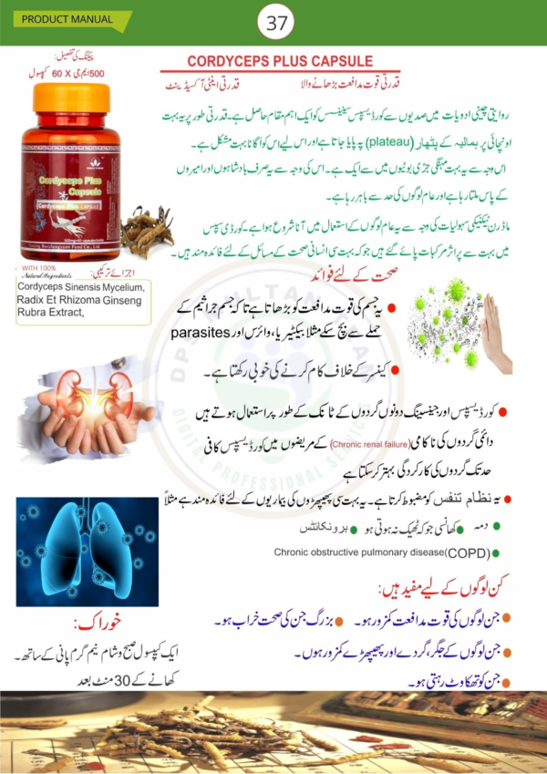 Cordyceps Plus Capsule | Green World Capsule | Green World Cordyceps plus Capsule